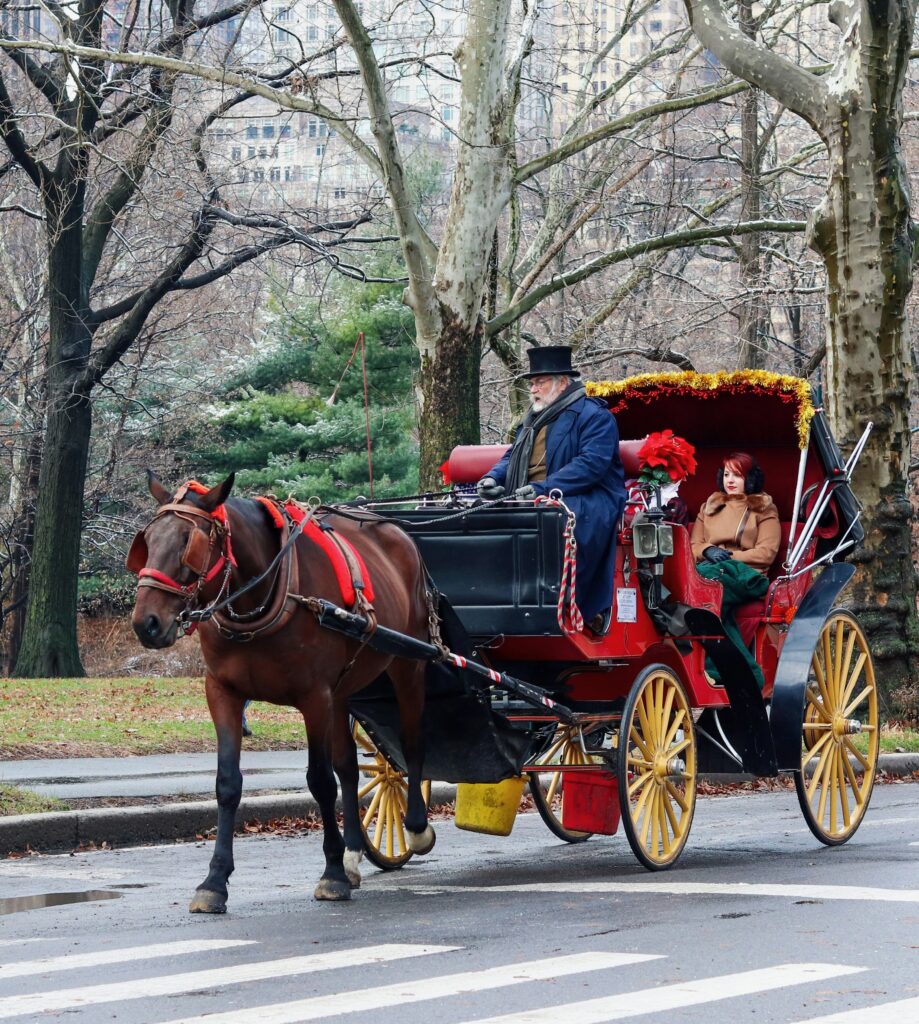 Woman riding a horse carriage in Central Park during Christmas time.
