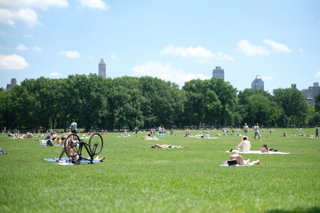 Locals sunbathing on the grass in Central Park during a sunny summer day.