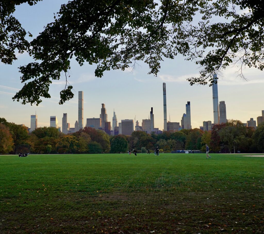 Central Park greenery at sunset with the New York City skyline in the background.