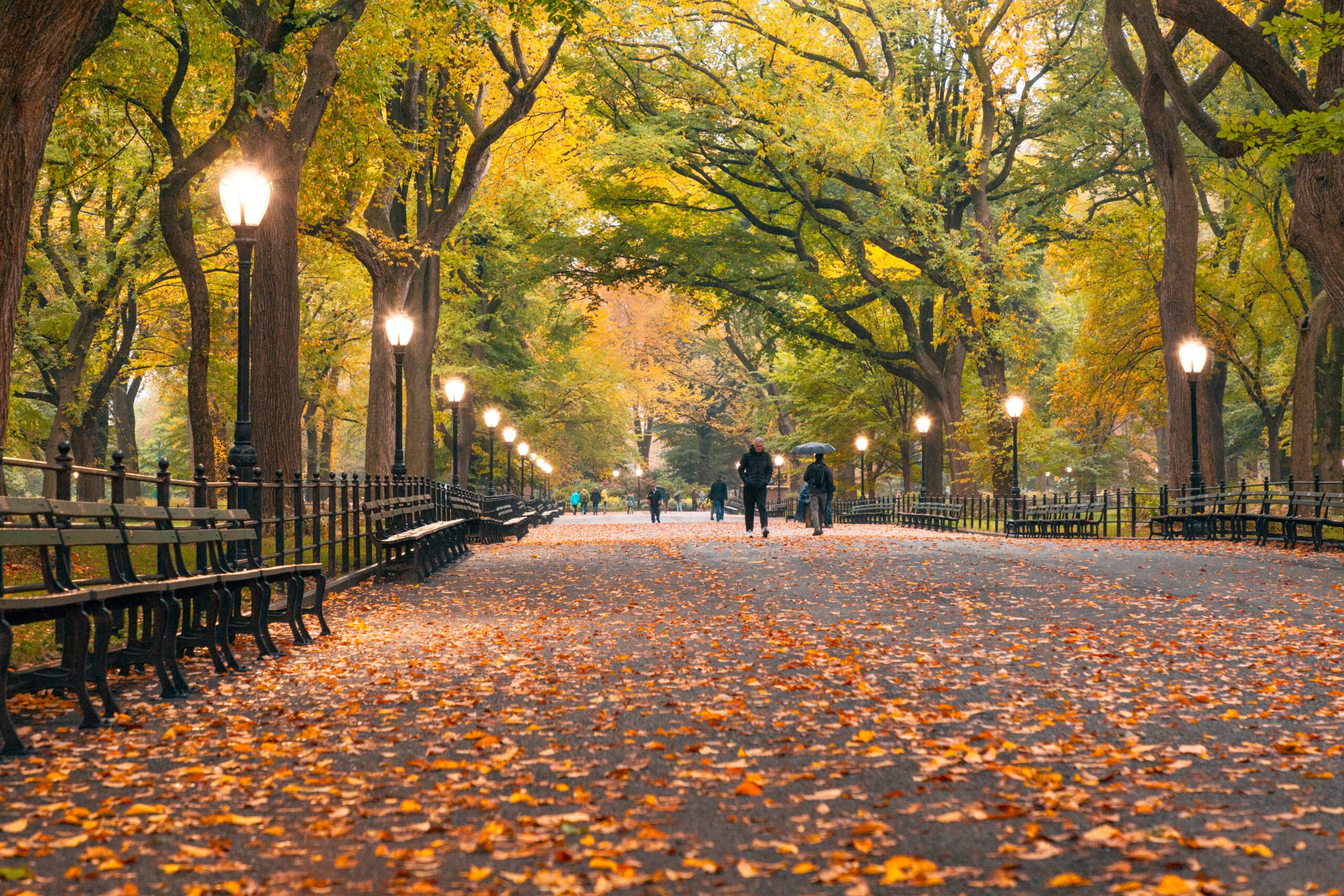 Stunning ground-level view in New York City during fall with glowing lamps, scattered leaves, and locals walking through tree-lined paths in the early evening.