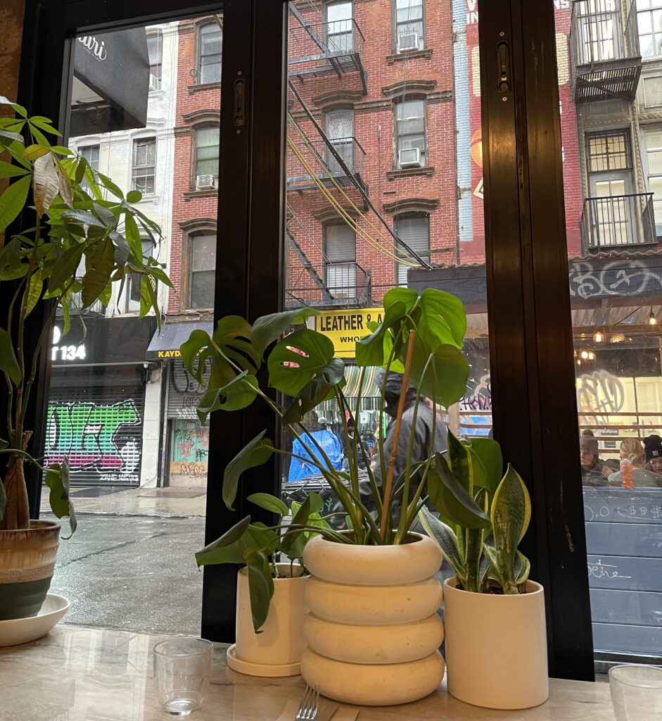 Cozy breakfast and brunch spot in the Lower East Side, NYC, with plants and rainy day street view.