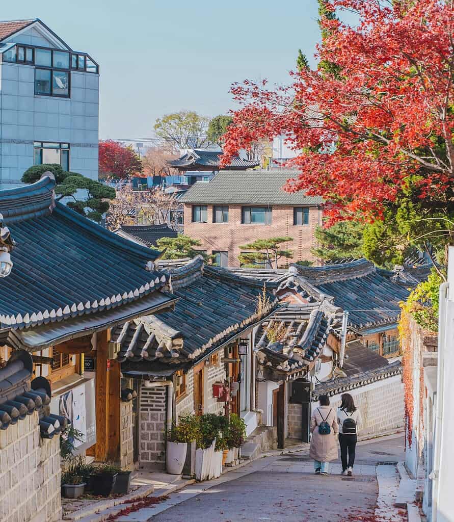 Bukchon Hanok Village in Seoul during autumn with fall leaves and two locals walking through the traditional Korean houses.