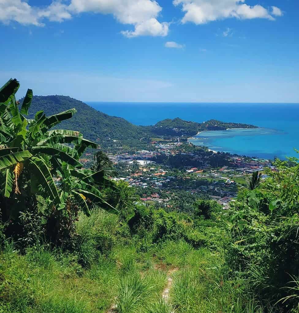 Elevated viewpoint in Koh Samui with a lush green trail winding downhill and sweeping island views on a bright, clear day.
