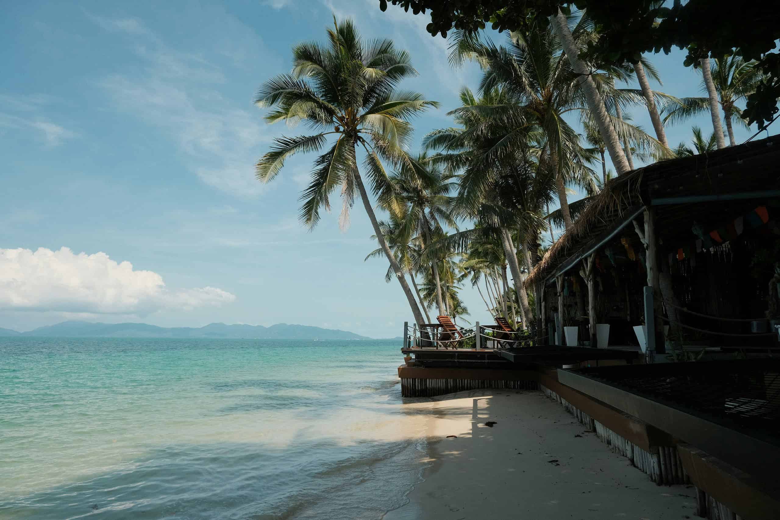 Turquoise blue waters with palm trees and a narrow sandy strip on a clear day in Koh Samui. A hidden beach club sits to the right, just out of view.
