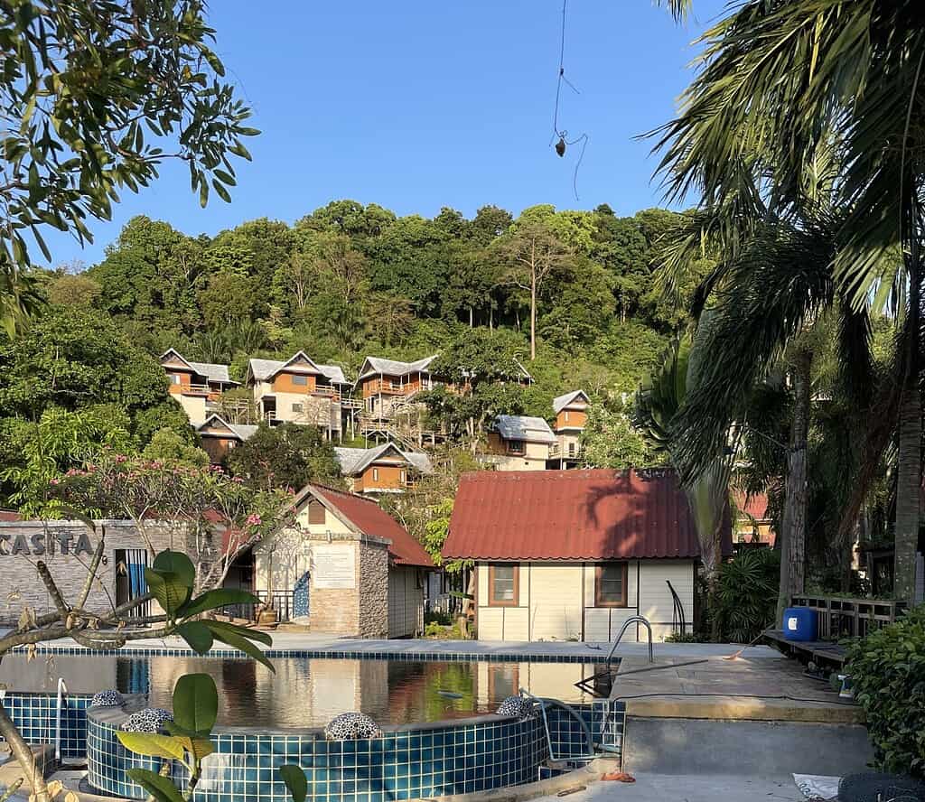 Hotel pool on Phi Phi Island with surrounding accommodations and lush greenery in the background.