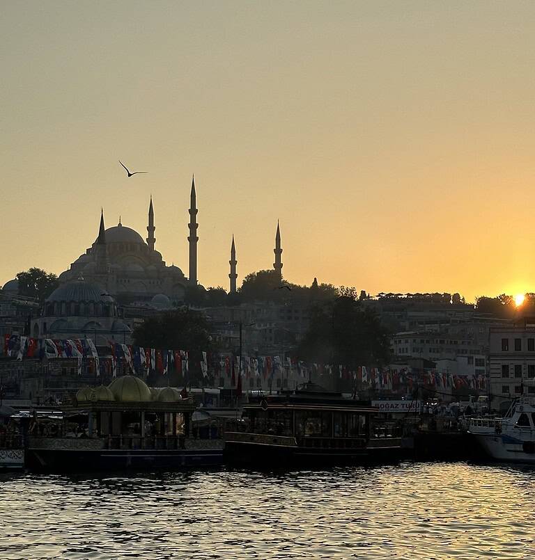Golden hour over the Bosphorus with a mosque silhouette, bird in flight, and bridge in the background near Galata, Istanbul.