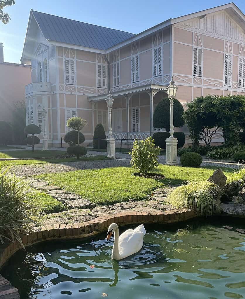Swan swimming in a pond at the formal gardens of Dolmabahçe Palace in Istanbul, with historic architecture in the background.