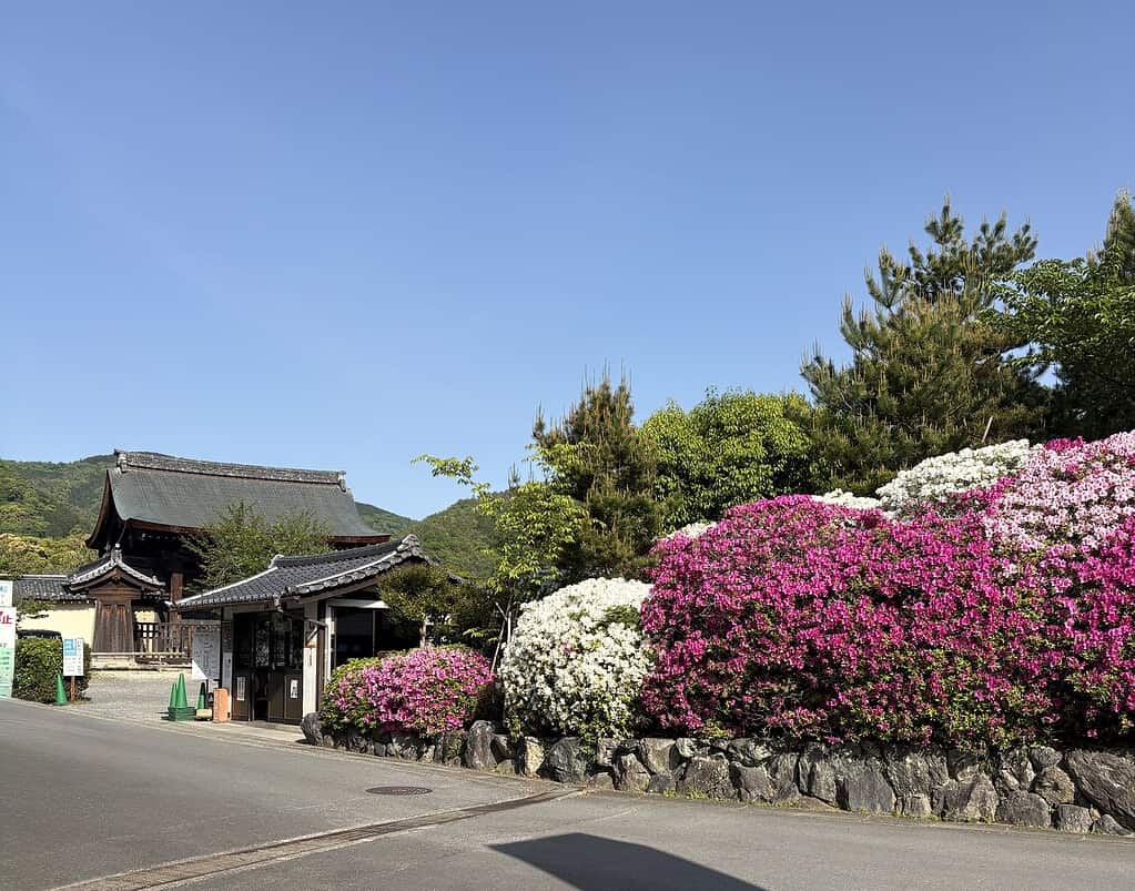 Traditional Japanese architecture surrounded by blooming flowers on a sunny spring day in Kyoto